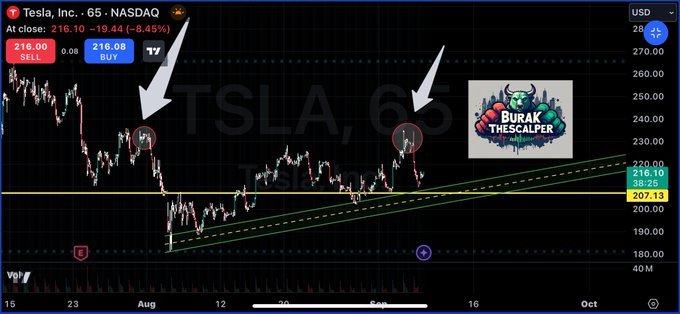 $テスラ (TSLA.US)$