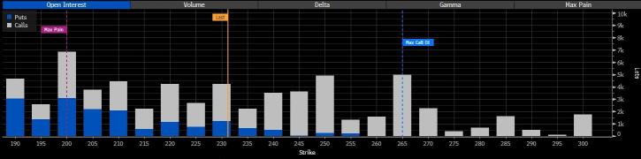 Options Investors Signal Confidence in Tesla's Momentum Through Earnings