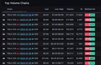 Options Investors Signal Confidence in Tesla's Momentum Through Earnings