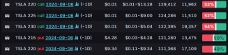 Options Market Statistics: Tesla Shares Fall Over 8% on Friday Despite Earlier Strong Momentum; Options Pop