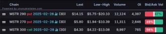 Options Market Statistics: Strategy Buys More Bitcoin, Now Holds Nearly 500K Bitcoin; Options Pop