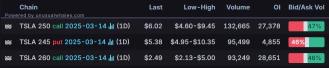 Options Market Statistics: Tesla Stock Jumps as Trump Backs Musk and EV Lineup; Options Pop