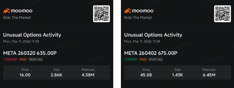 Meta面臨對沖，戰略吸引比特幣投注，SanDisk獲週期性操作：聰明資金期權