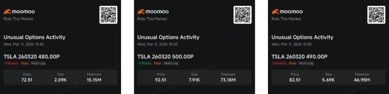 $300M in Fresh Tesla Options Bets in Two Days: What Are Institutions Signaling?| Smart Money Option