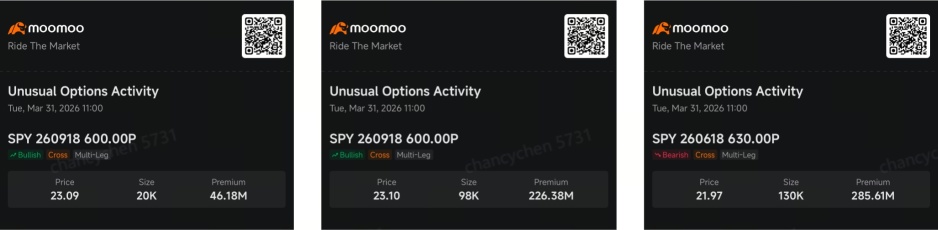 Markets Rally—But a $558M Options Trade Tells a Different Story | Smart Money Option