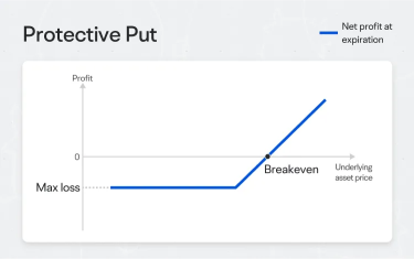 Memory Stocks Tanking. How to Protect Your Position with Options.
