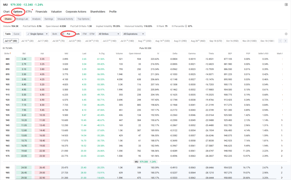Memory Stocks Tanking. How to Protect Your Position with Options.