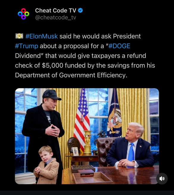 Elon ask trump about doge dividend