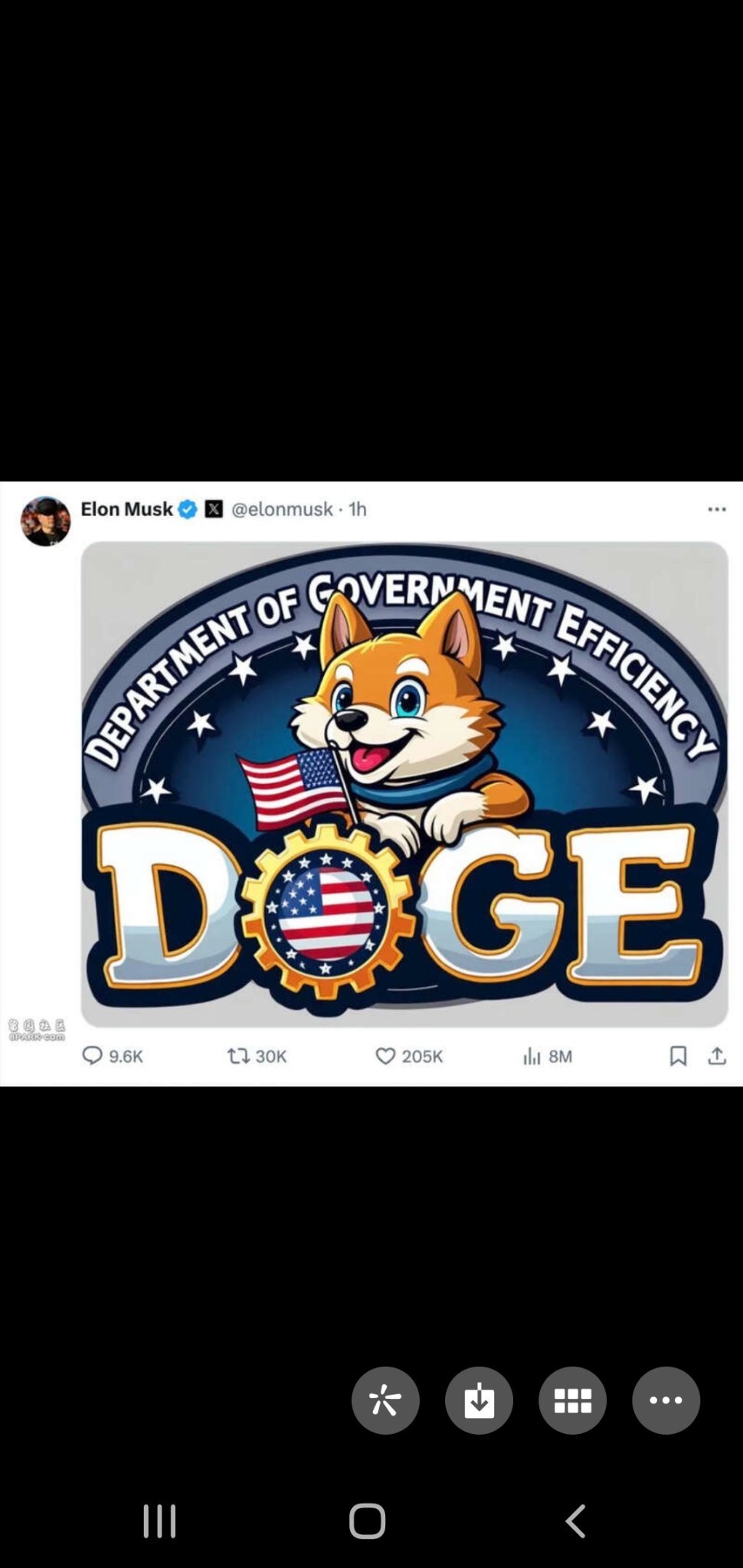 $Dogecoin (DOGE.CC)$