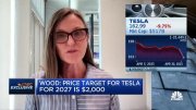 Ark Investment發布了新的TSLA 2029價格目標 - 你將無法相信它！！