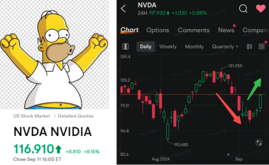 Daily Insight: Guide to Top Traders | NVDA Skyrocketing! 🚀