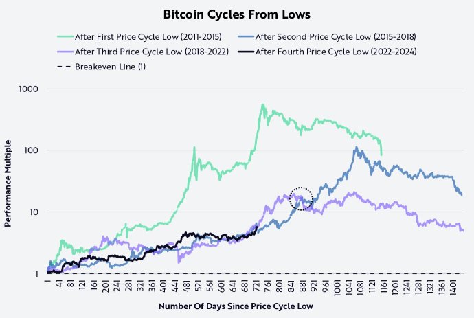 Amazing similarity in bitcoin cycles.