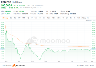 Navigating PDD's Market Fluctuations: Financial Insights and Investment Strategies