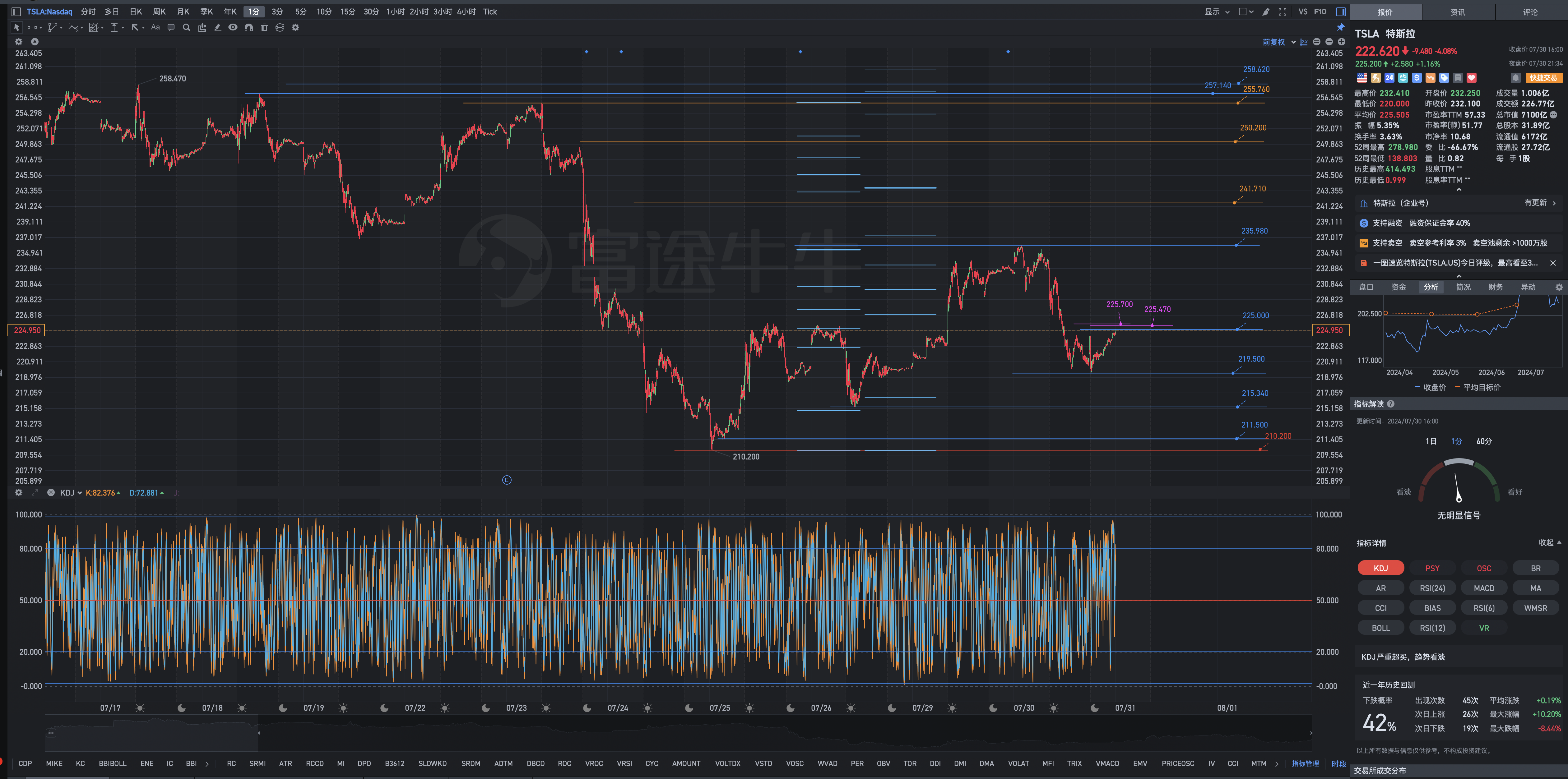 Analysis of the Tesla post-market review chart for Tuesday, July 30