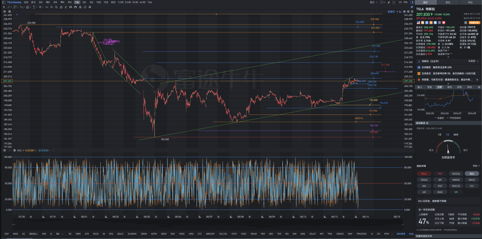 Analysis of the Tesla post-market review chart for Tuesday, August 13th