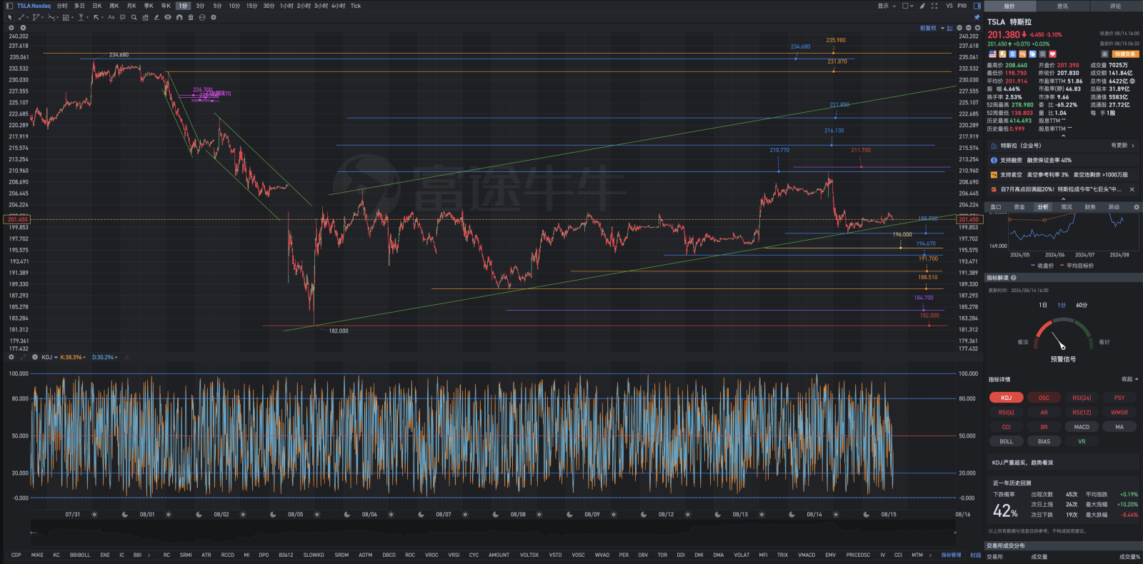 Tesla pre-market rehearsal chart overview for Thursday, August 15