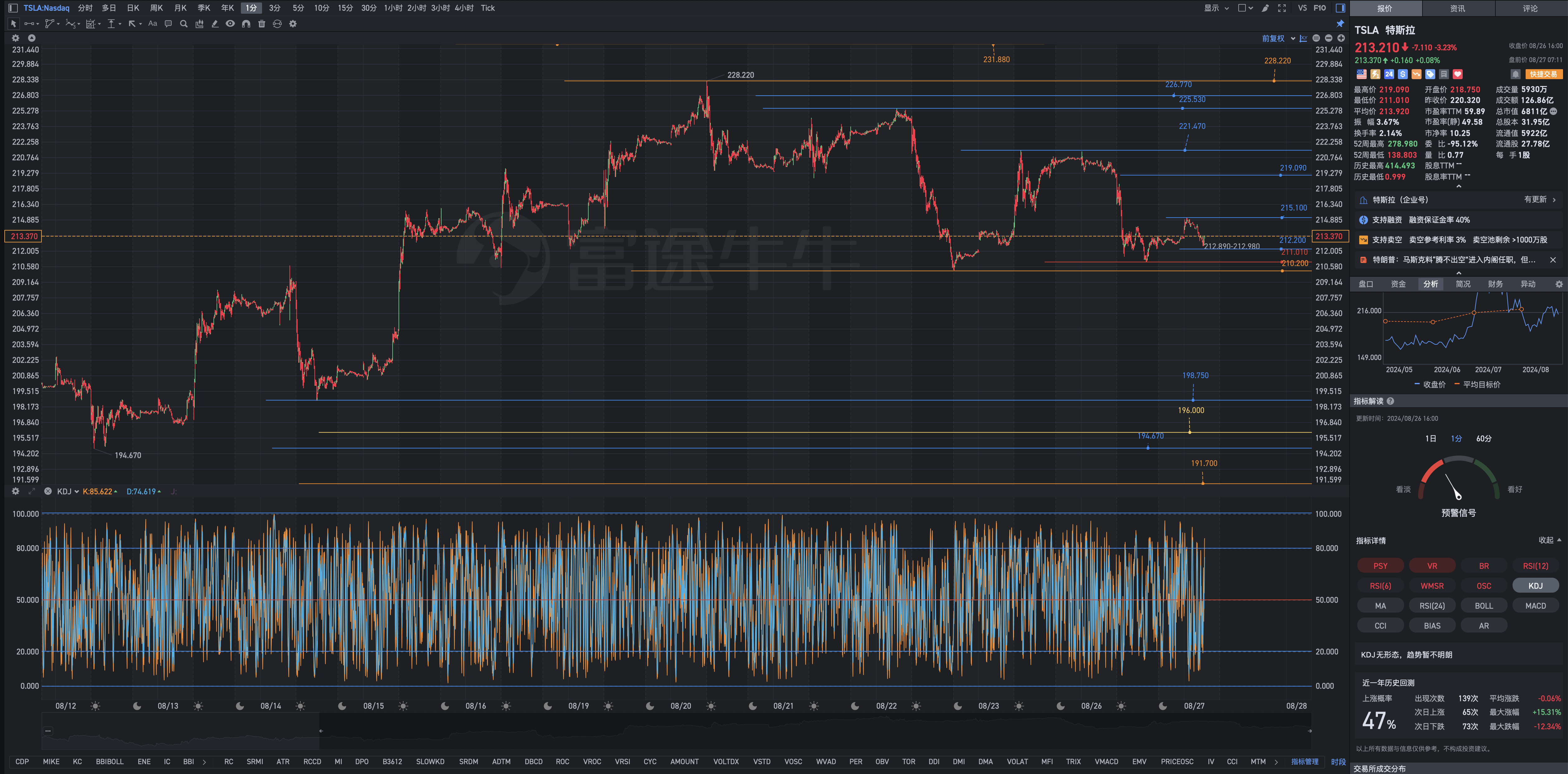 Tesla New York Pre-market Review Chart Analysis Formula