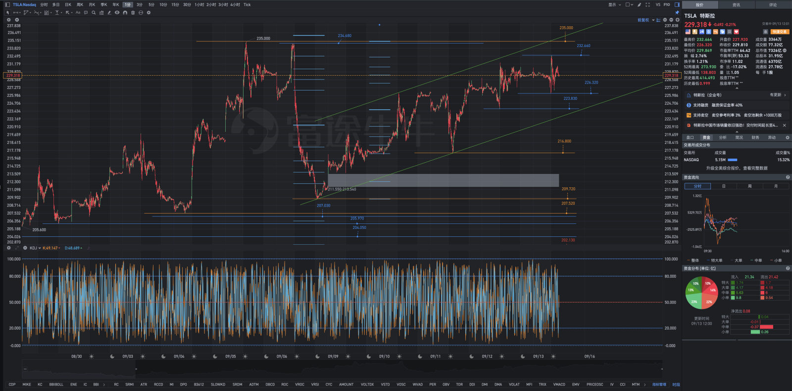 Tesla早盘盘中复盘图表解析式