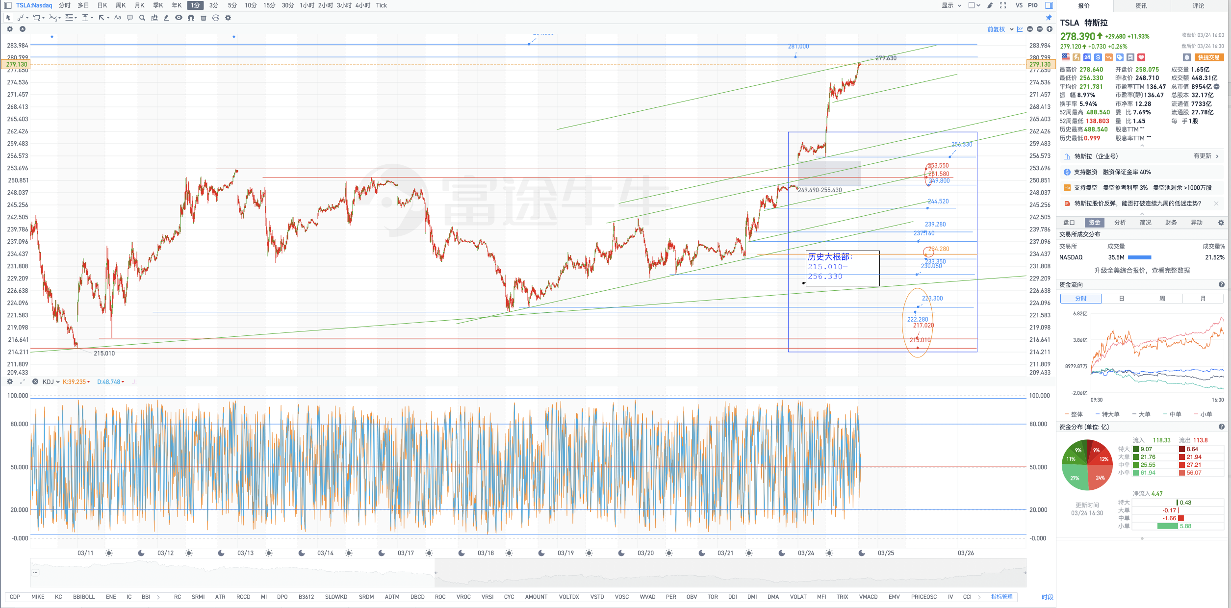 Tesla底部岛形反转：Tesla历史大根部215.010––256.330