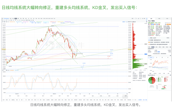 Tesla底部岛形反转：Tesla历史大根部215.010––256.330