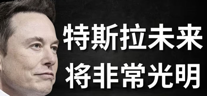 在拯救特斯拉股价下跌中壮大自身实力(Strengthening its own strength in saving Tesla's stock price)