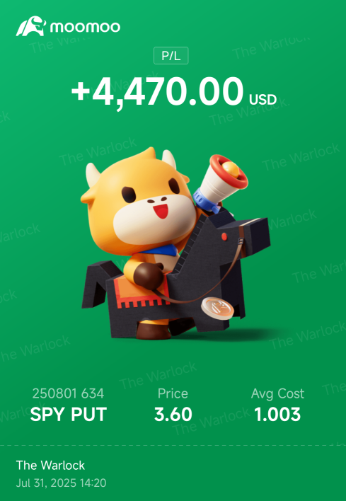 SPY PUTS