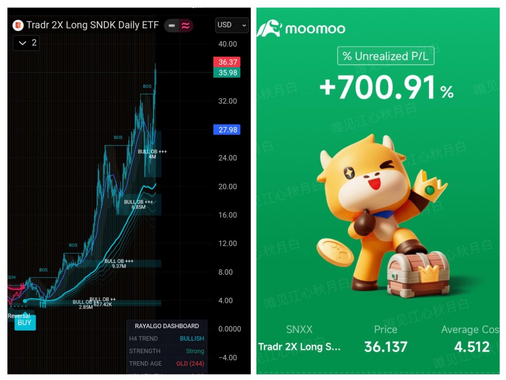 💹✅ 💵✅Take advantage of the Margin law changes 🐄💨💨💨🏦🏧💱💸