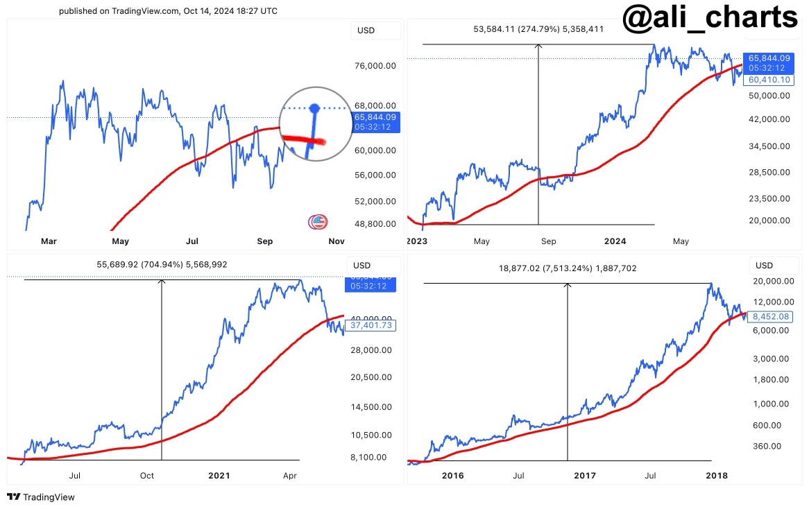 Is the Bitcoin Bull Running Back?