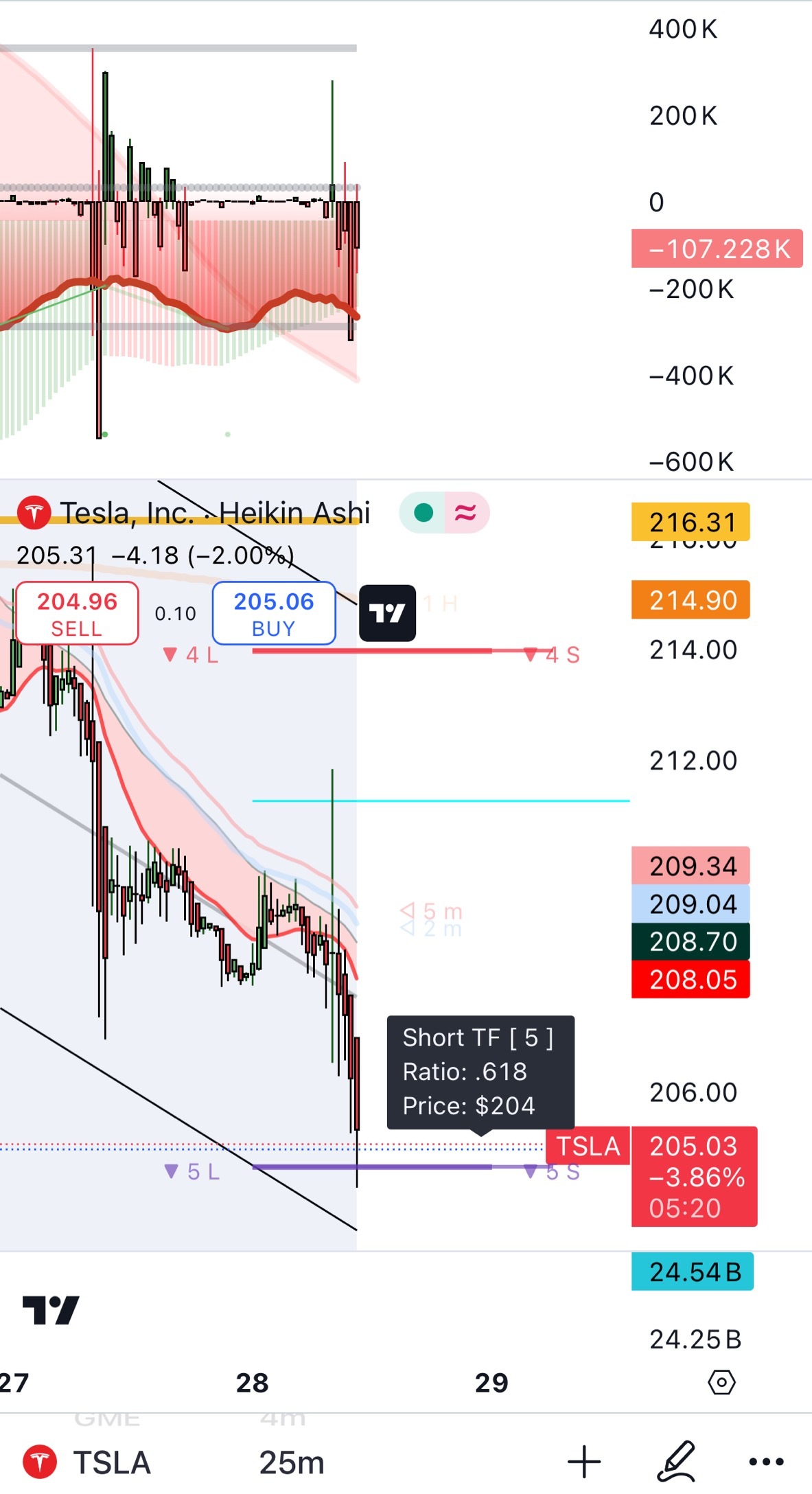 $Tesla (TSLA.US)$ 🚼 204 I loaded up , now I just watch 🧑🏻‍🦯