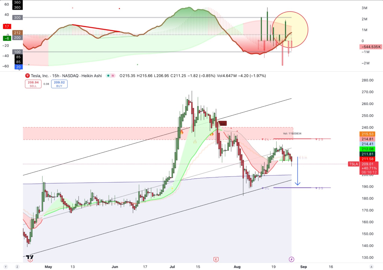 $特斯拉 (TSLA.US)$ 如果她弹起来🏄🏿，她就会掉下来👀👀