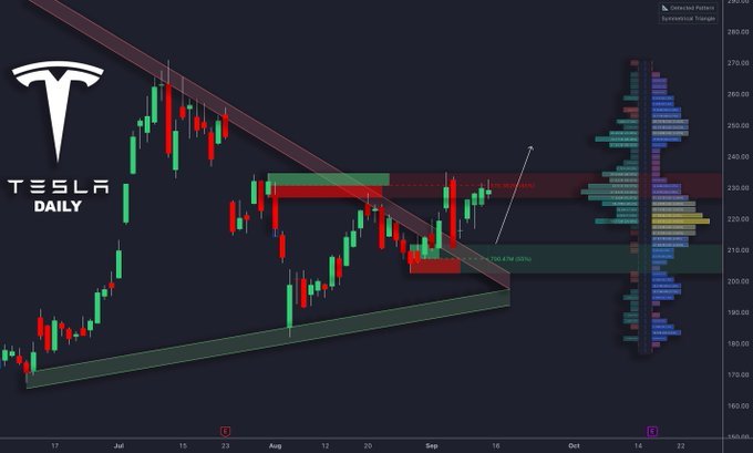 $特斯拉 (TSLA.US)$下周将突破支撑位。  你准备好了吗？