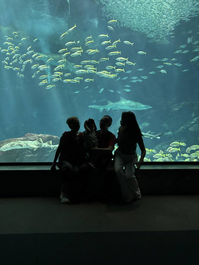 美股估值虛高？9月22-23日覆盤