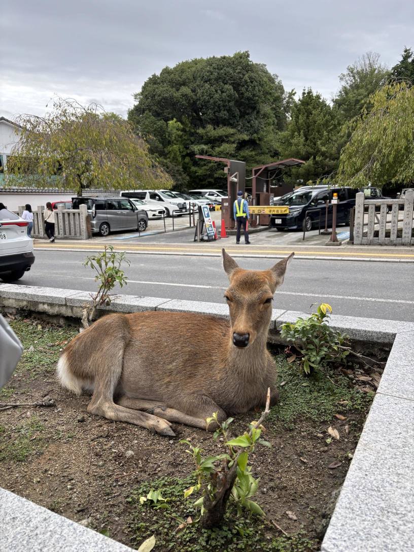 谈判完成后的迷失 - 10月28-30日覆盘
