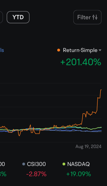 YTD P/L