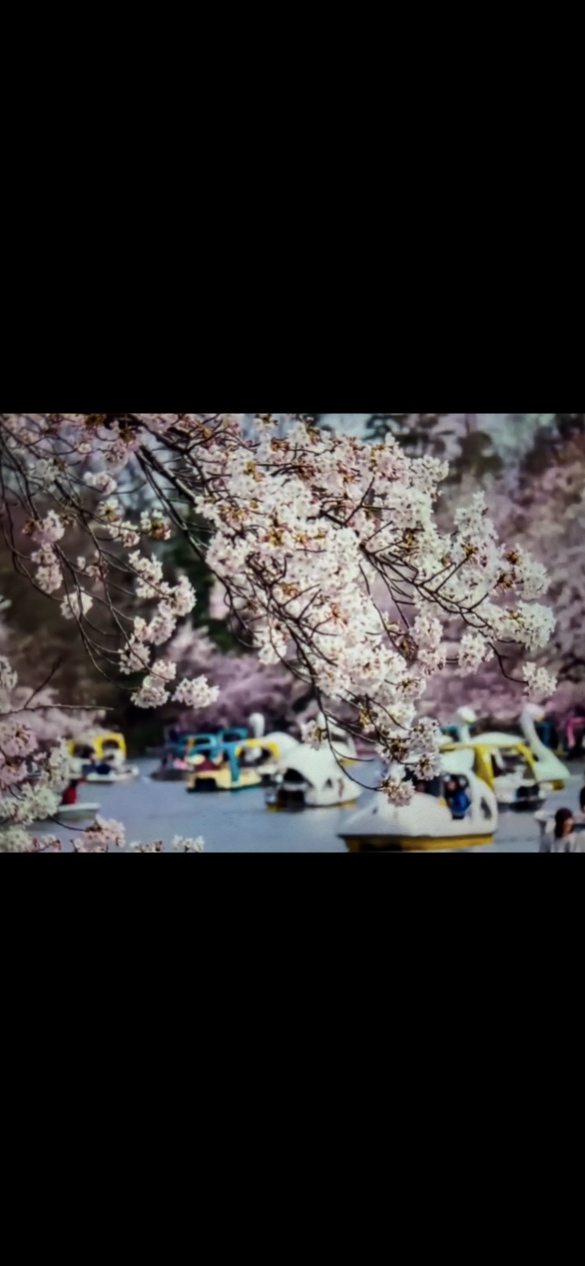 晚餐時間！分享Lemonade · Alex MakeMusic