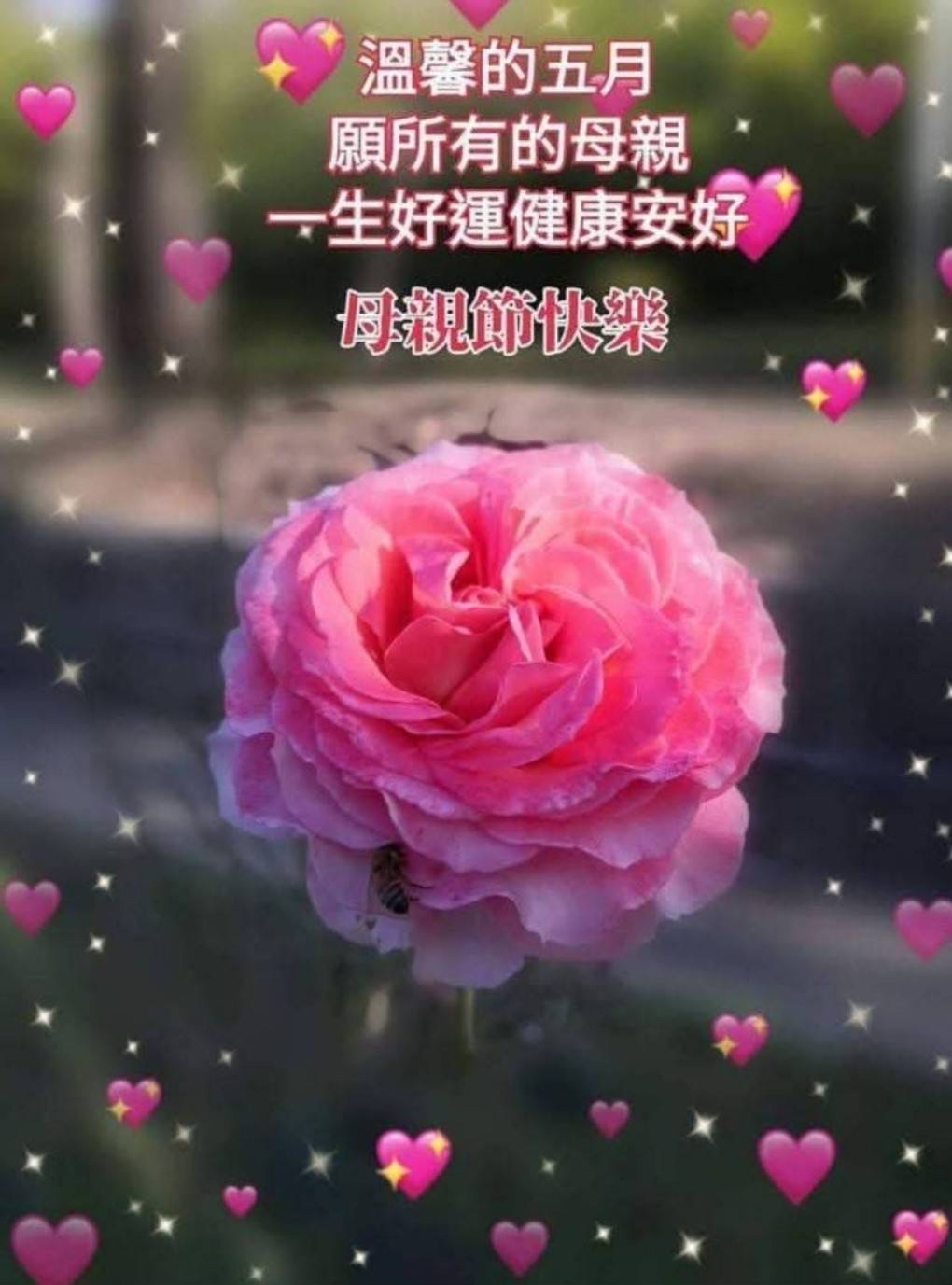 祝福大家當媽媽的or未來的媽媽＂母親節快樂＂
