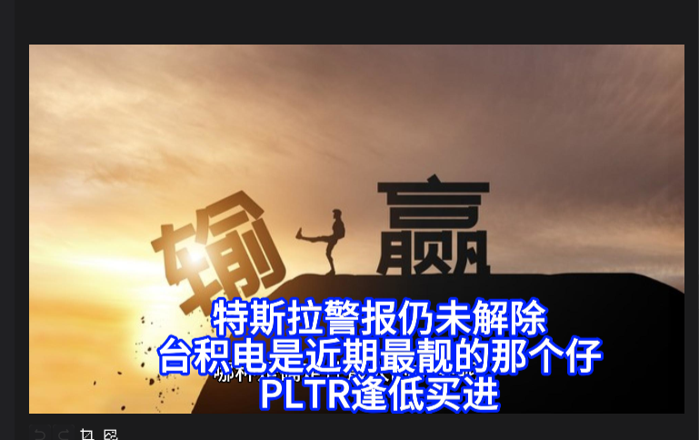 PLTR短期目标31.3，长期目标55美元