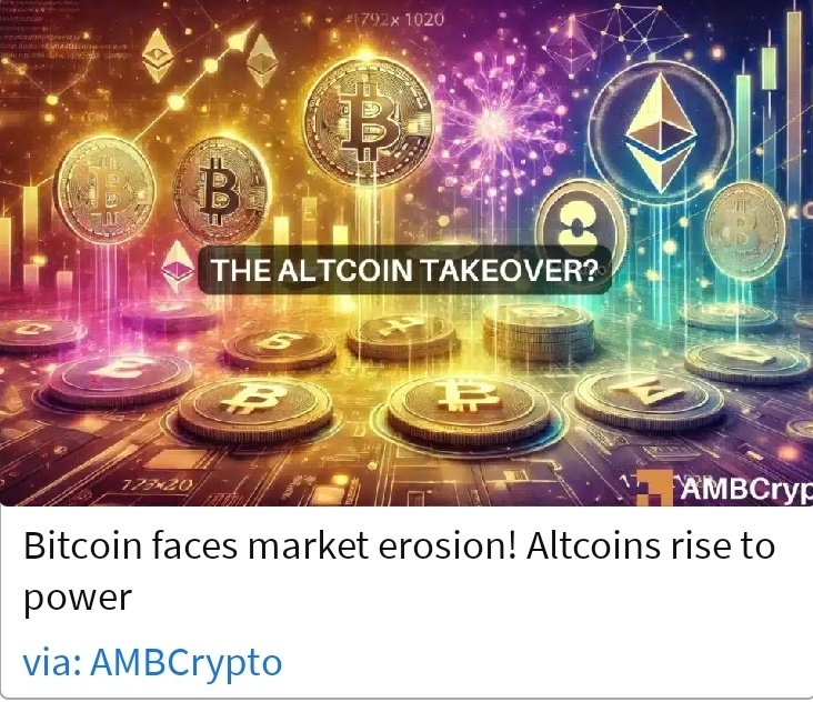 Altcoins rise