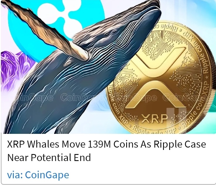 XRP 🐋 🐳 