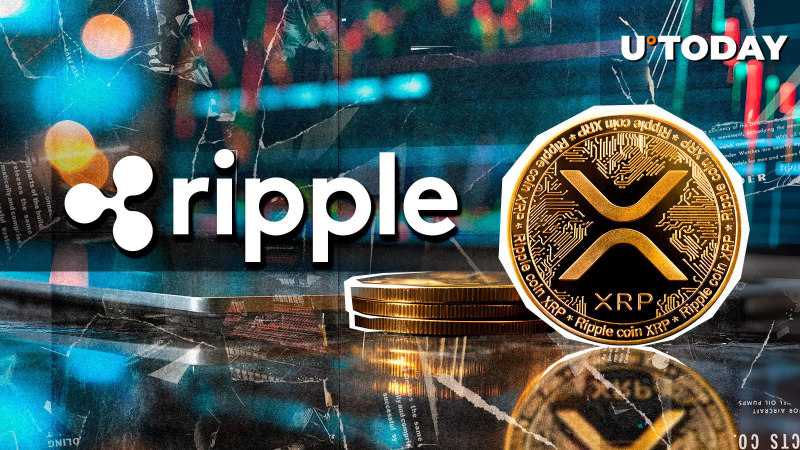 XRP 👍  stability & sustainability 👍