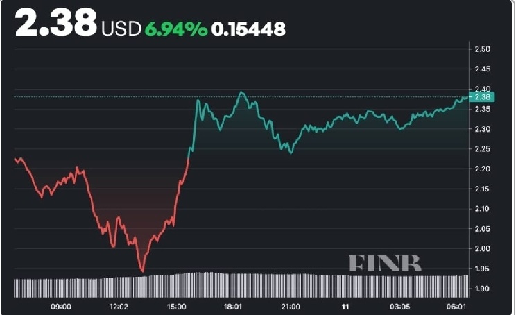 XRP 🐋 🐳 are betting big