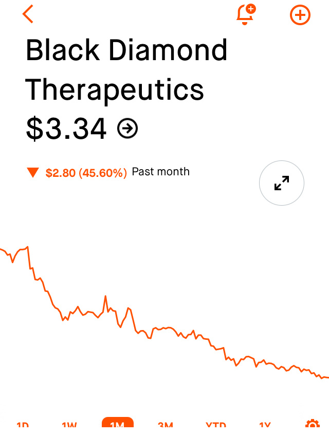 $Black Diamond Therapeutics (BDTX.US)$