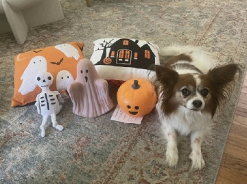 我的2024目標挑選！🎃👻💀