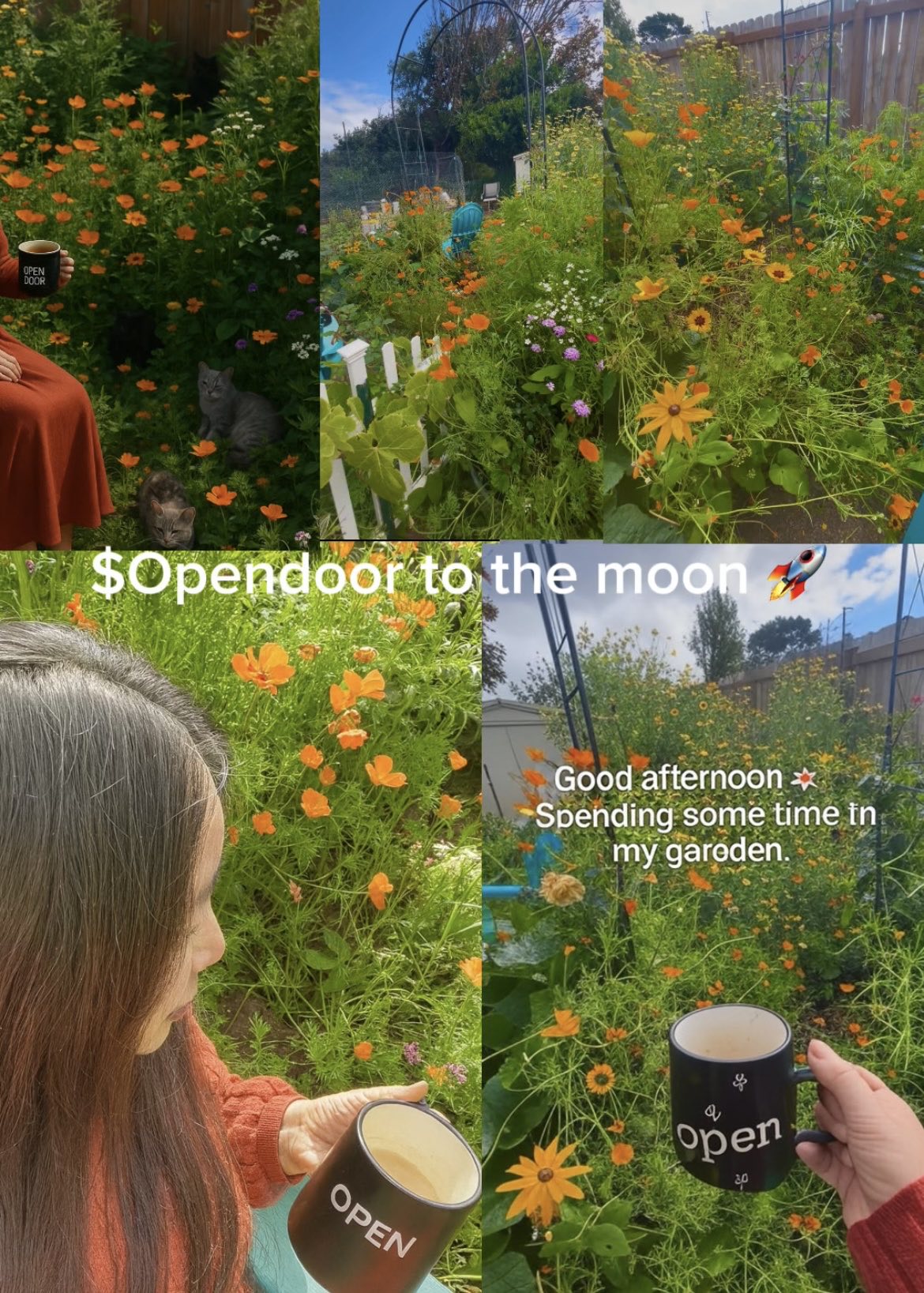 151619147のプロフィールページ - moomooコミュニティ