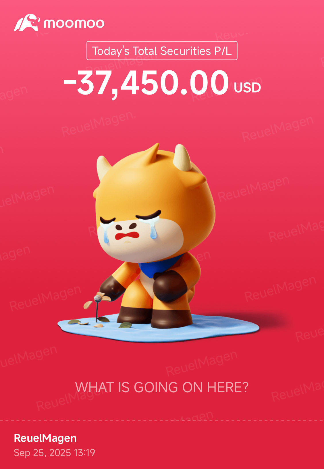 對特斯拉的瘋狂投資……