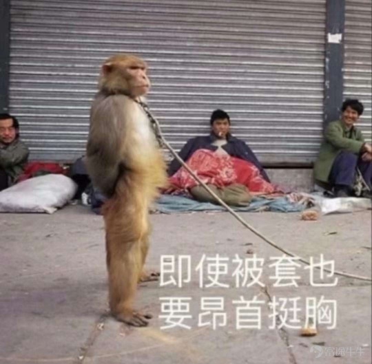 不管怎么样低位筹码一直没有卖出