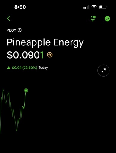 $Pegy SCALPING  party all day long Rara Koko private discord subscribers we got another winner winner chicken dinner early alert was sent directly to your cell phone super fast super quick. Would you