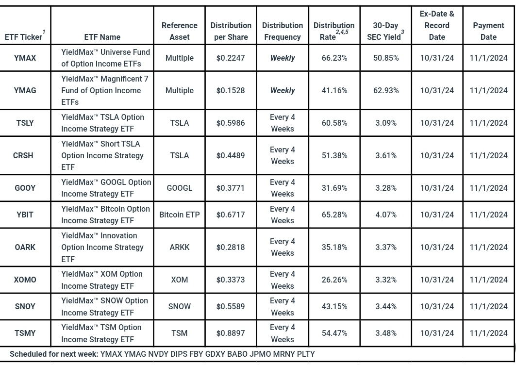 $YIELDMAX TSLA OPTION INCOME STRATEGY ETF (TSLY.US)$