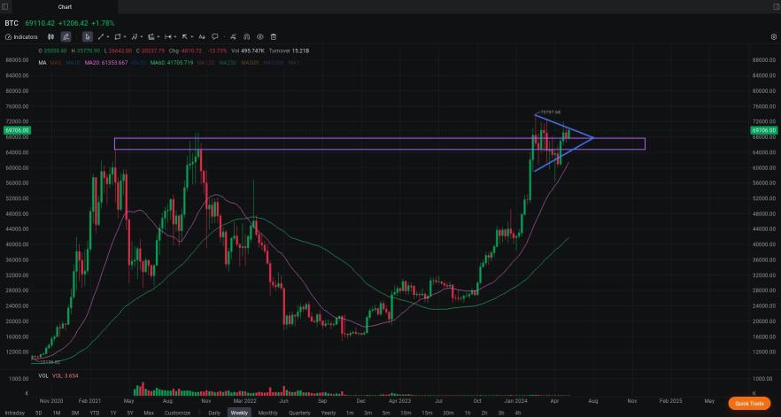 MooMoo NX BTC Charting (Monthly Cup and Handle? + Weekly Bull Flag? + Suggestions)