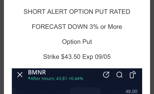 Trade Alert ‼️ NYC Alerts